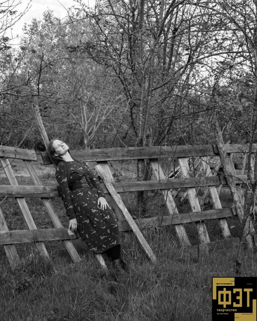 Выбор зрителей. Альбом 11.01.26