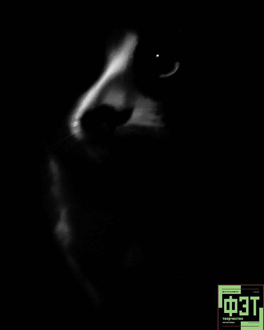 Альбом 29.03.26 в рамках ФЭТ