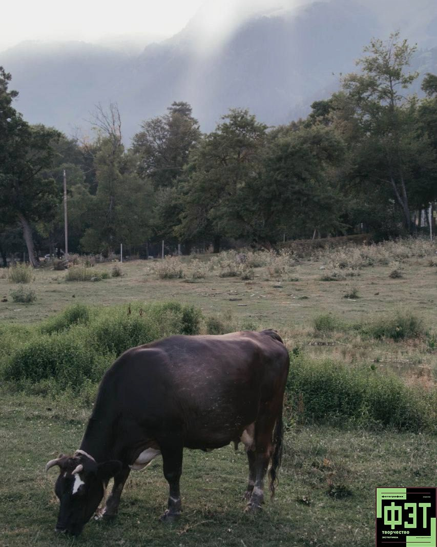 Альбом 15.02.26 в рамках ФЭТ