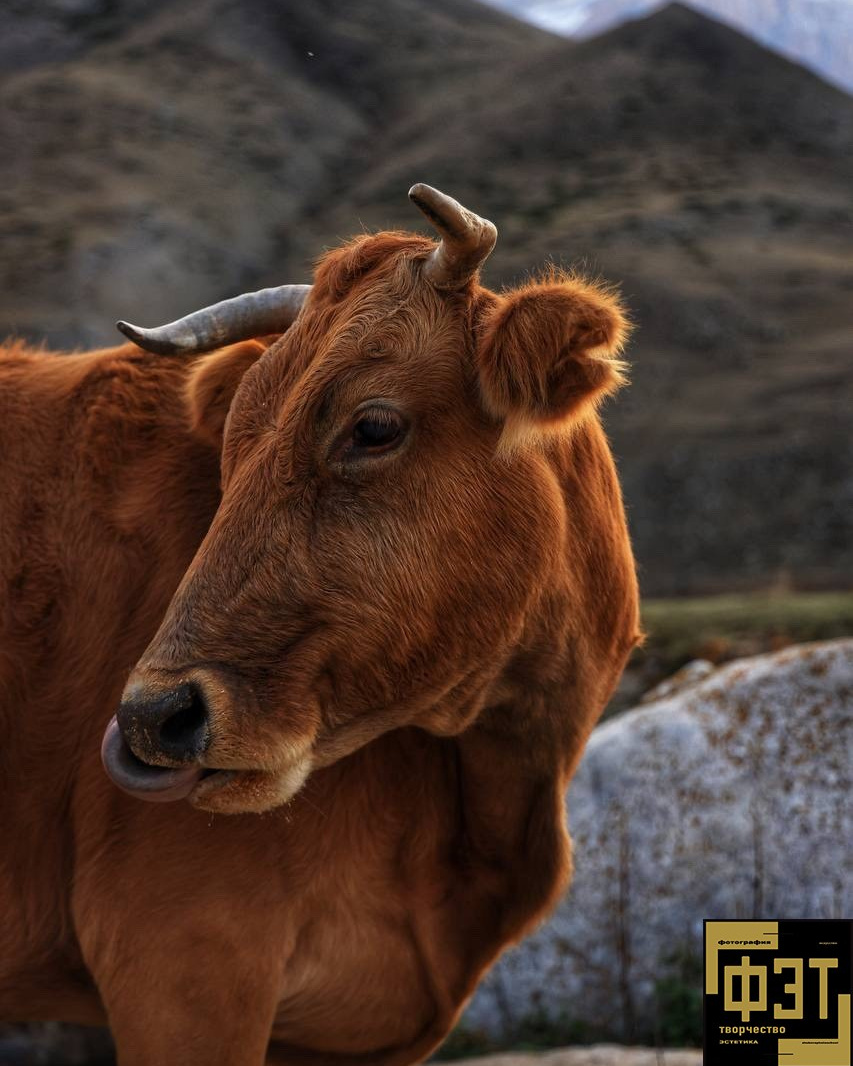 Выбор зрителей 01.03.26