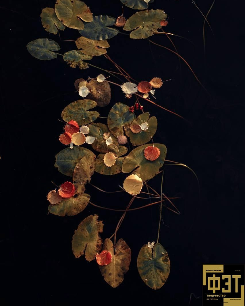 Выбор зрителей 14.12.25