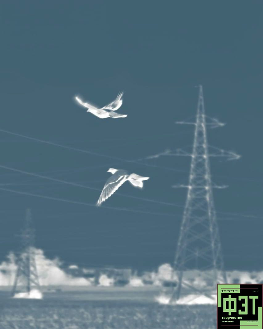 Альбом 05.04.26 в рамках проекта для фотографов ФЭТ