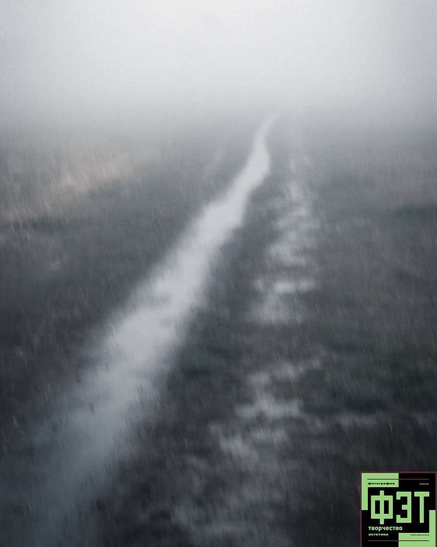 Альбом 08.03.26 в рамках ФЭТ