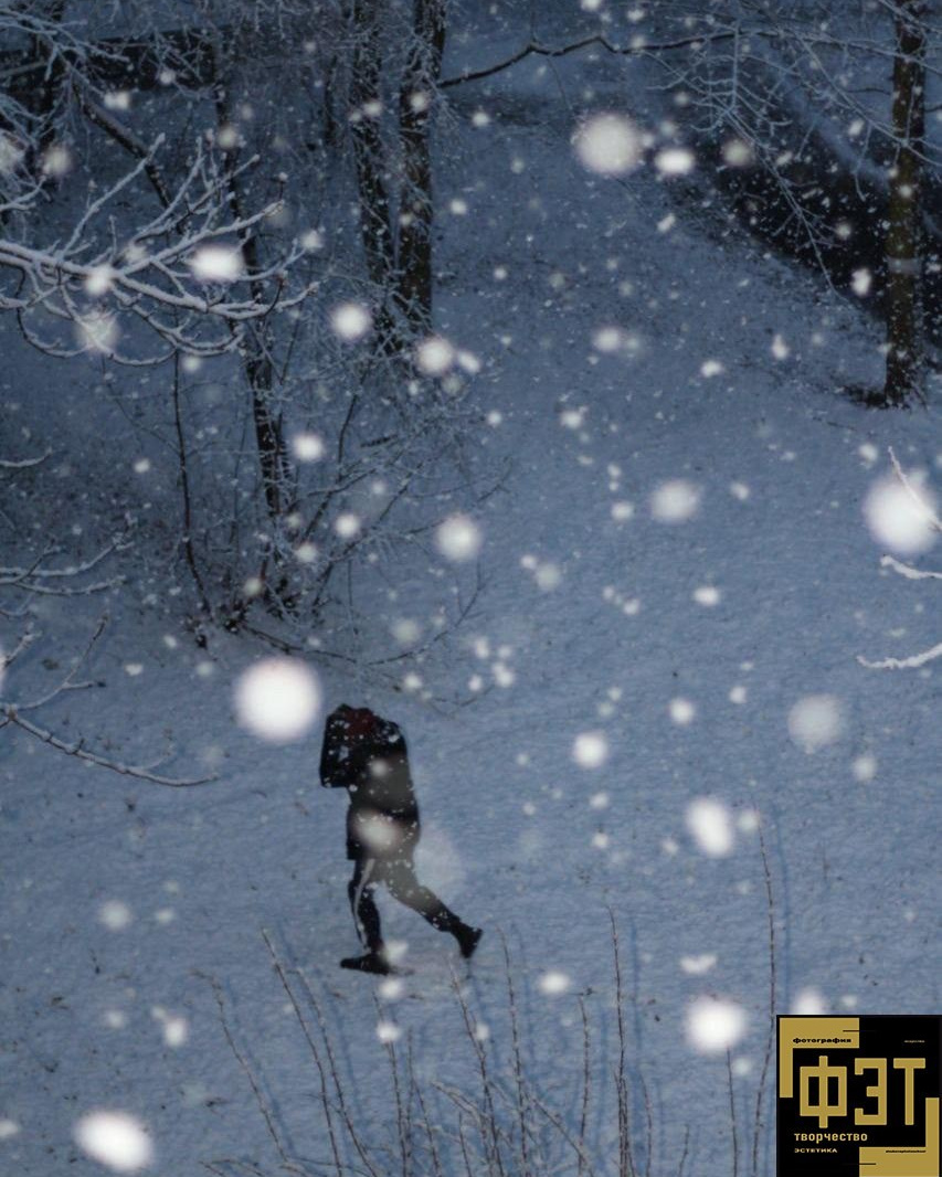 Выбор зрителей 23.11.25