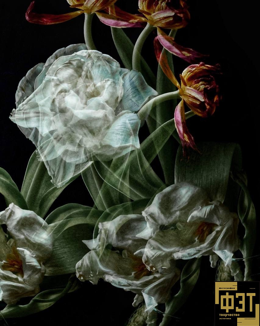 Выбор зрителей 01.03.26