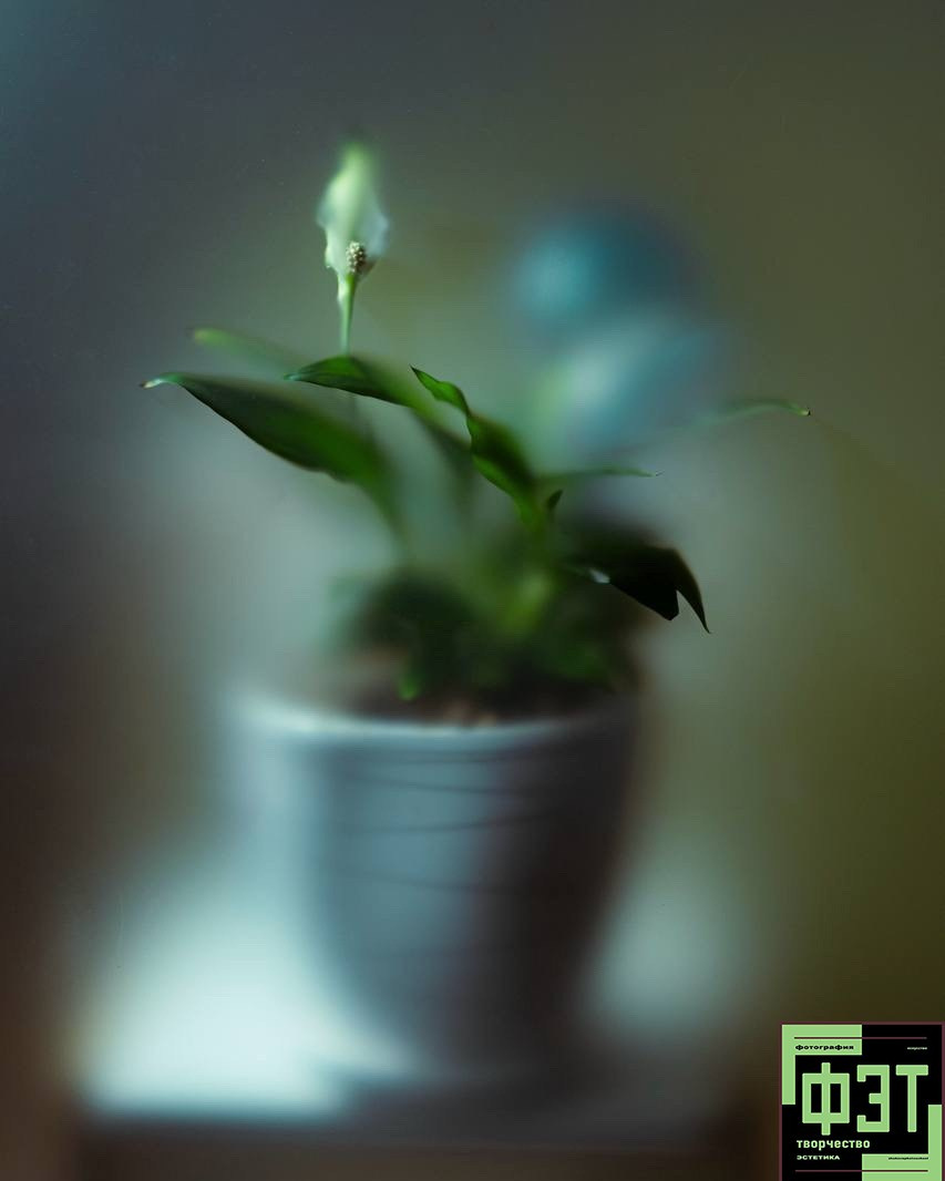 Альбом 12.04.26 в рамках ФЭТ