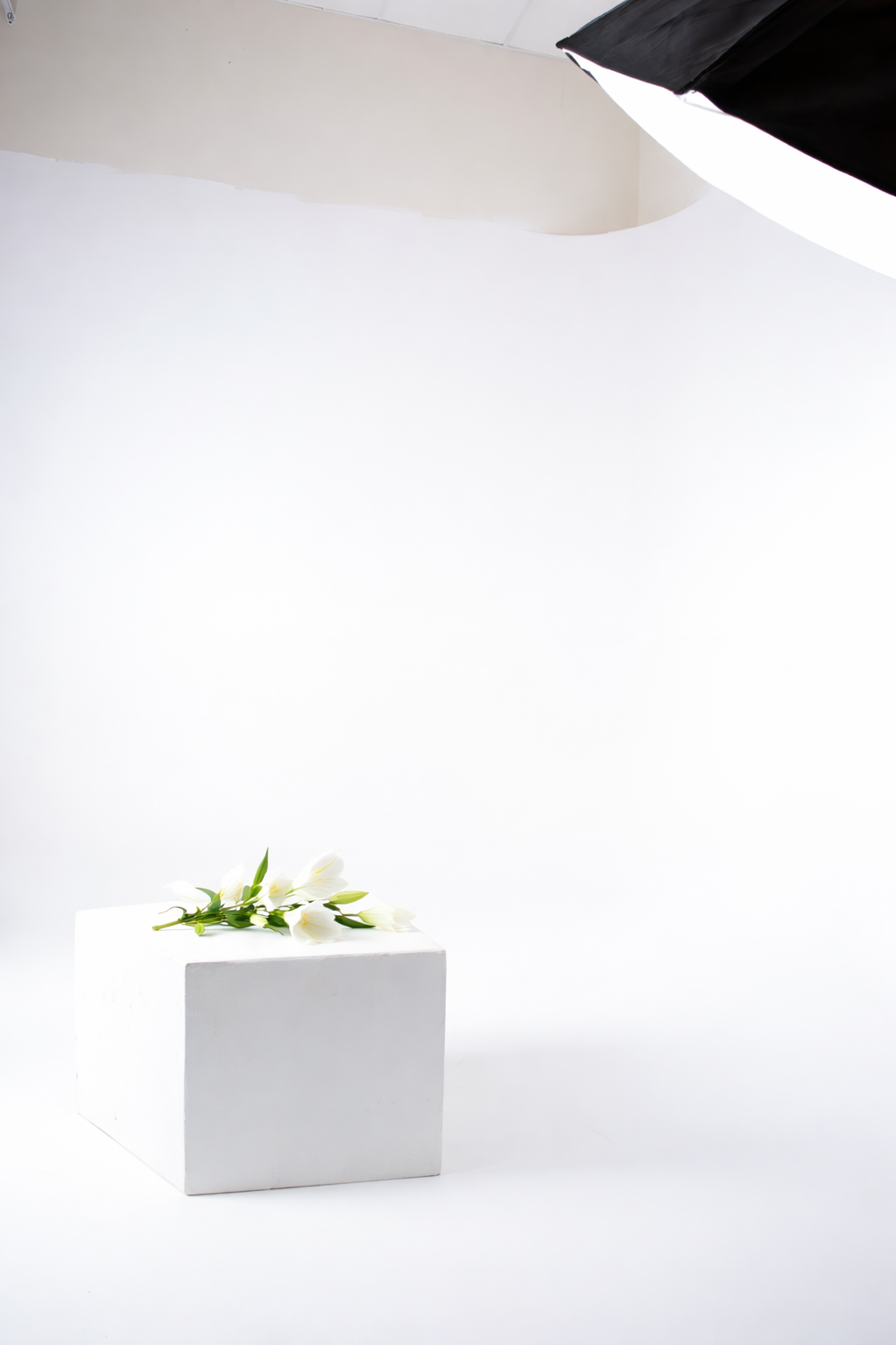 Анонсы Фотодней. Интерьерная Фотостудия Москве