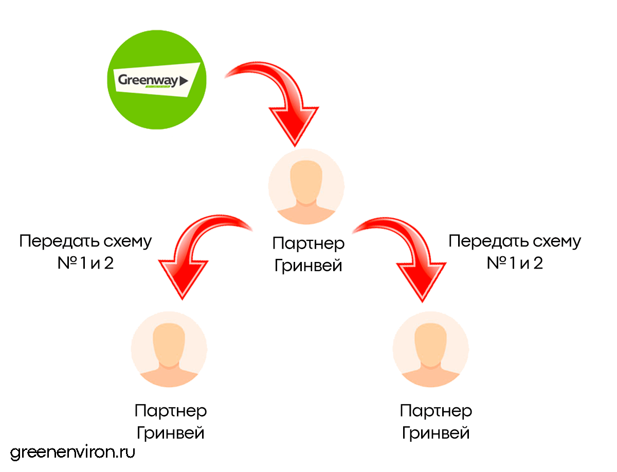 передача знаний свои рефералам и членам  команды