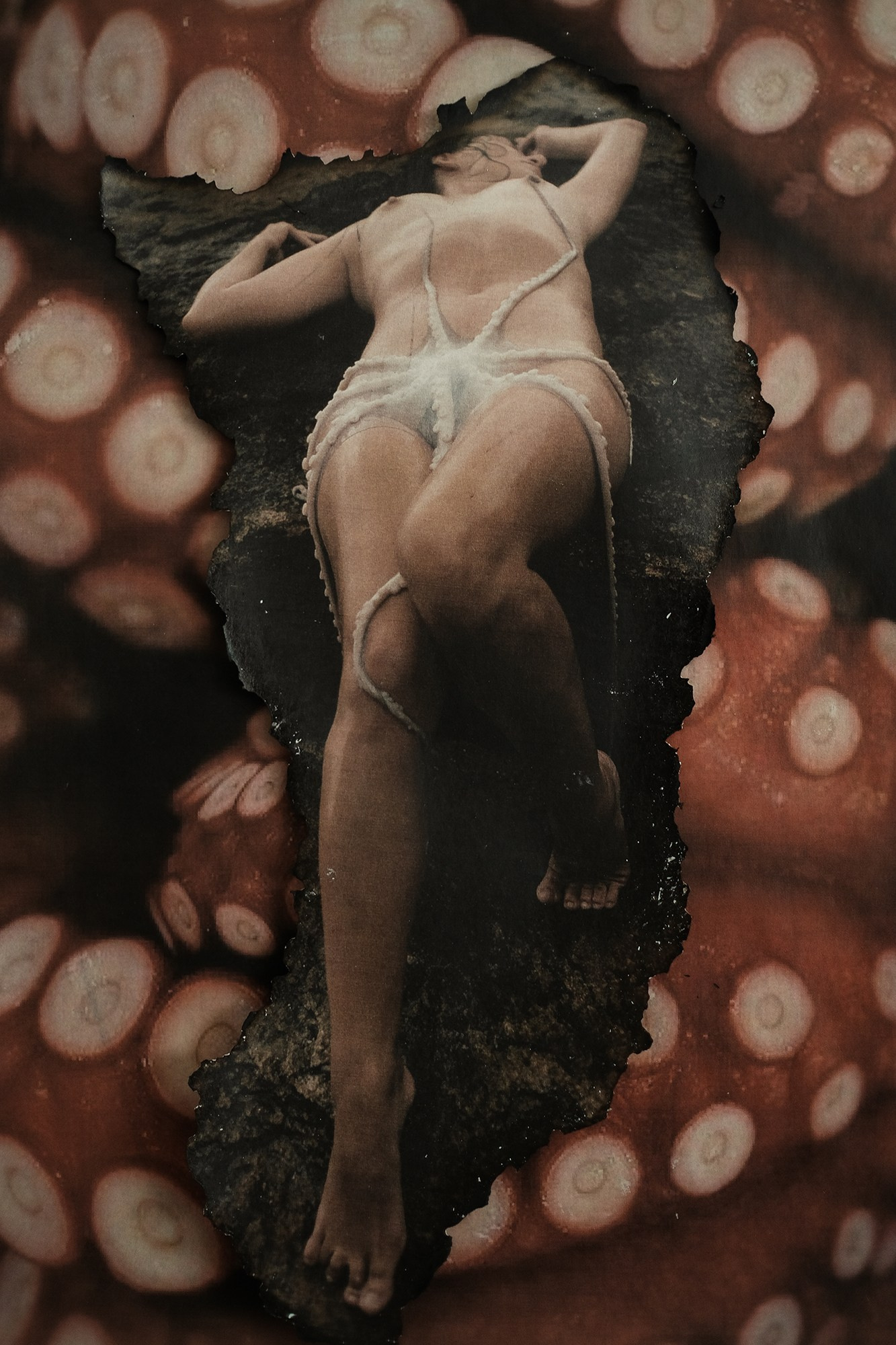 SIRENA. VISUAL ARTIST. OLGA ZHDANOVA