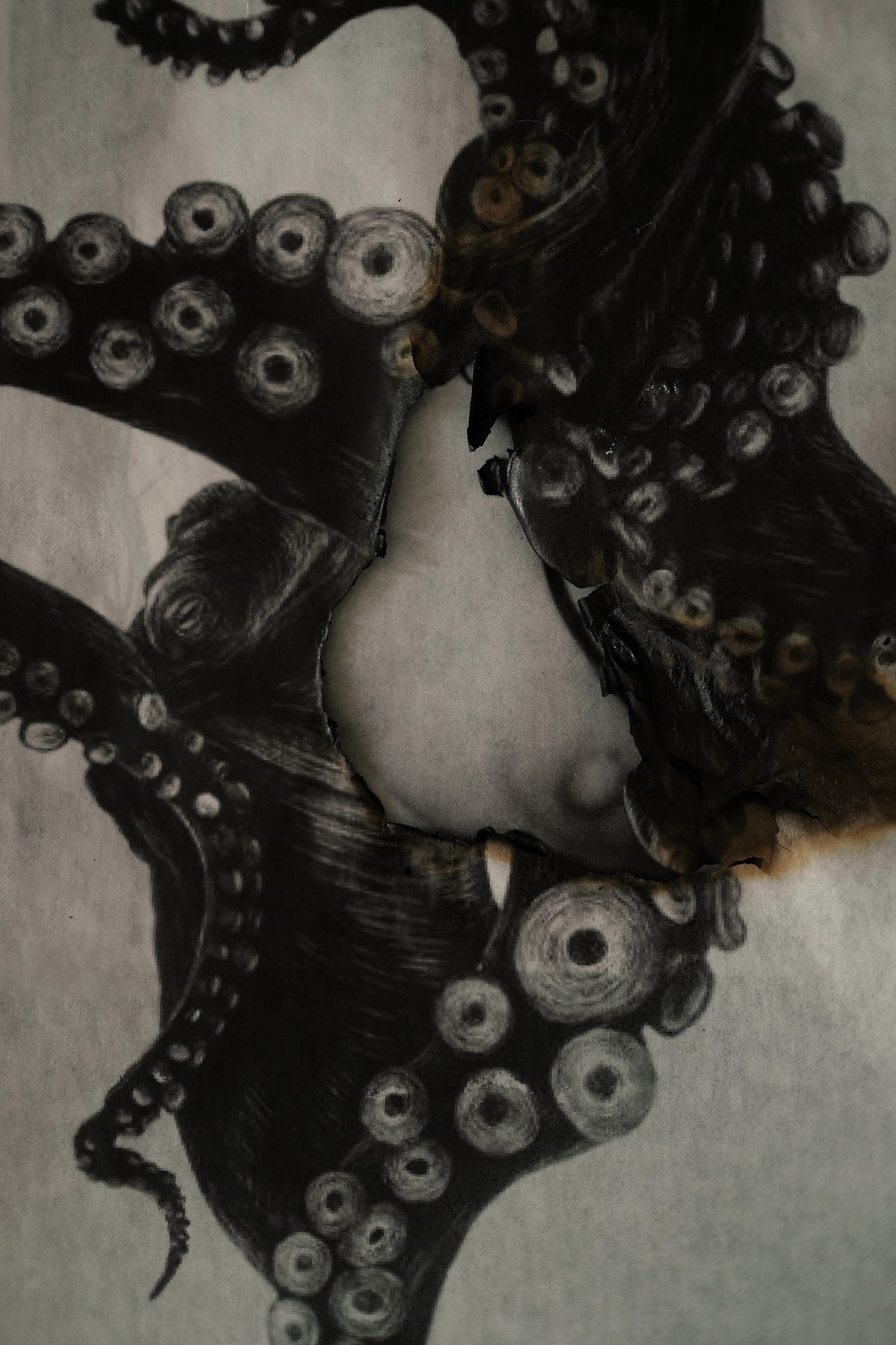 SIRENA. VISUAL ARTIST. OLGA ZHDANOVA