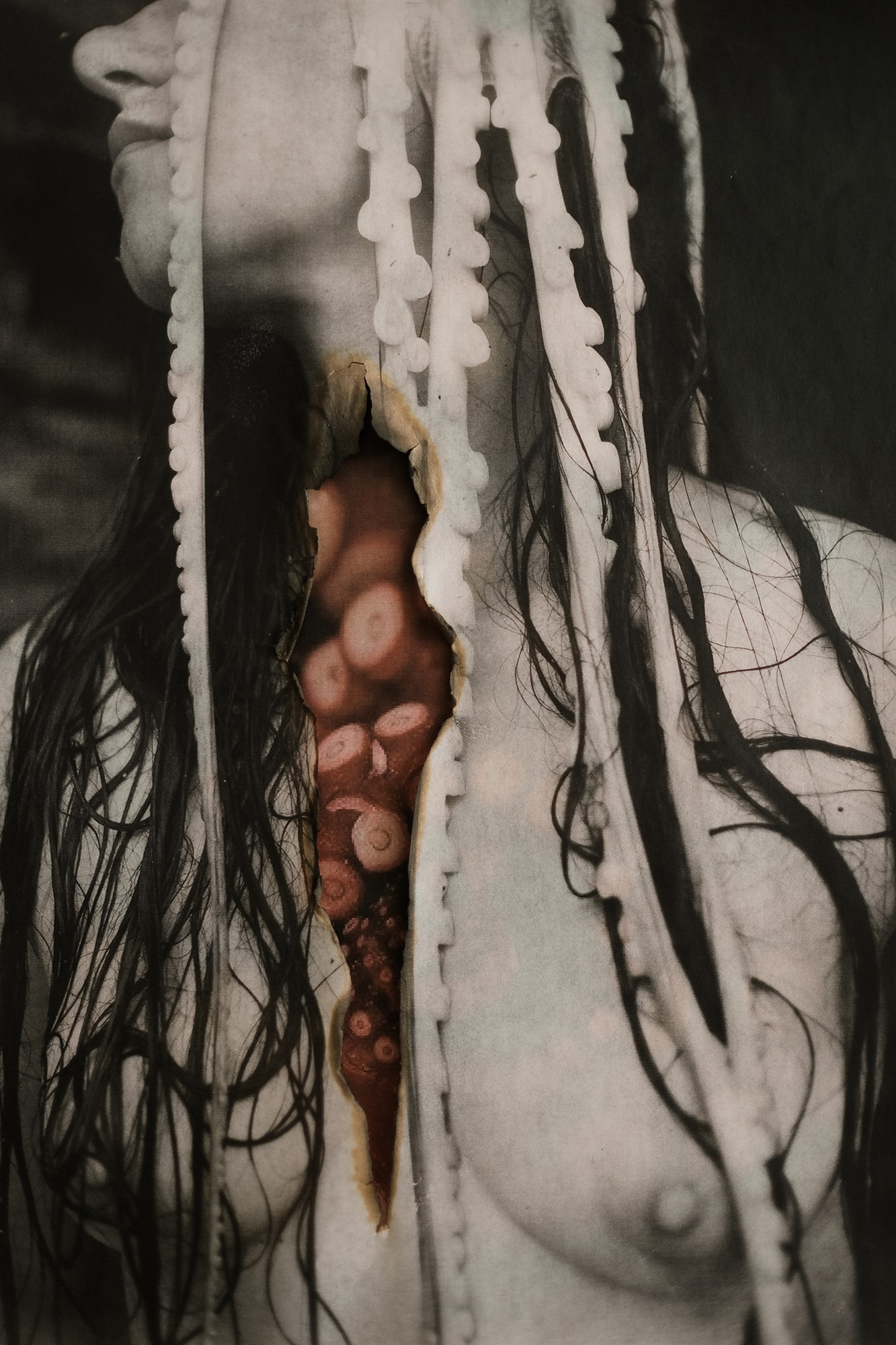 SIRENA. VISUAL ARTIST. OLGA ZHDANOVA