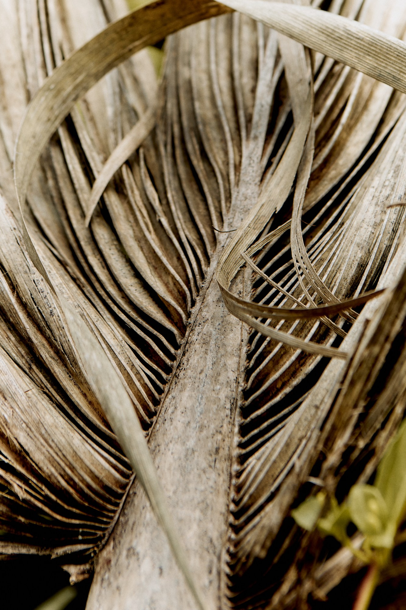 TRAVEL. EVGENYA PERESADOVA