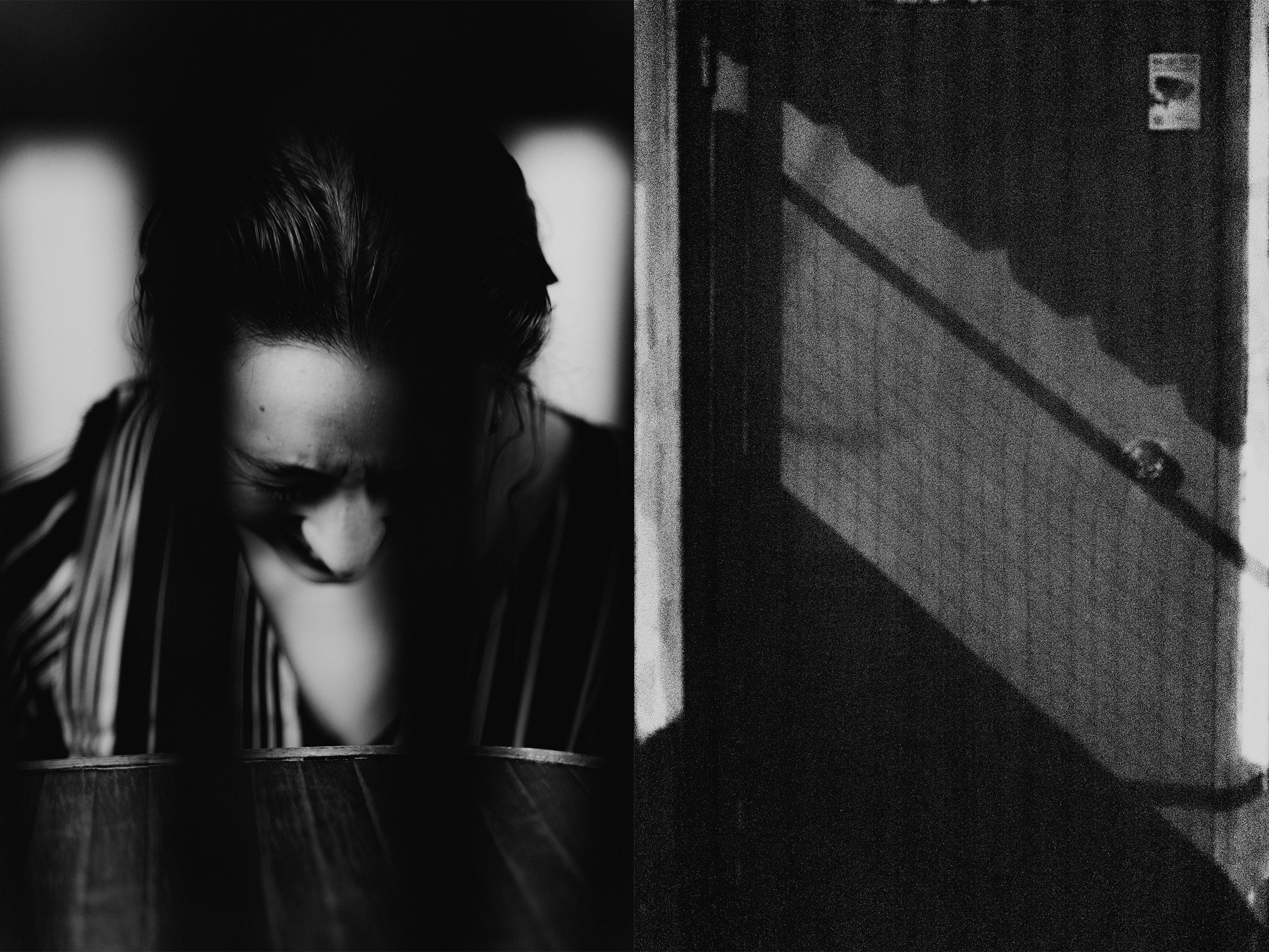 (в процессе) гаврики обрели дом | the woofs have found a home. Анастасия Калинина