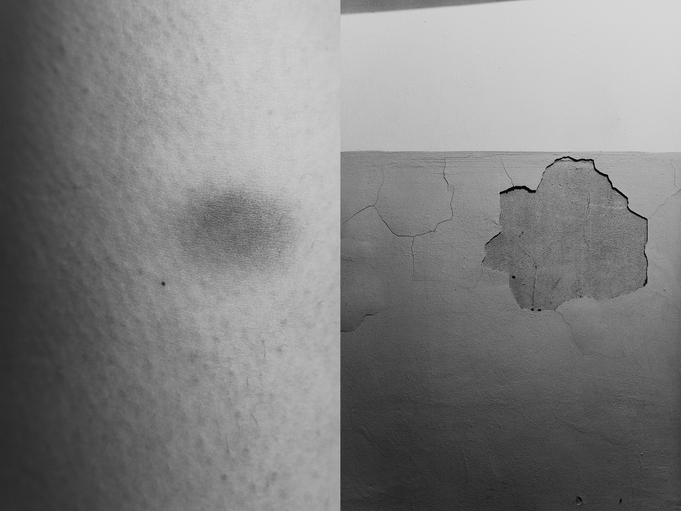 (в процессе) гаврики обрели дом | the woofs have found a home. Анастасия Калинина