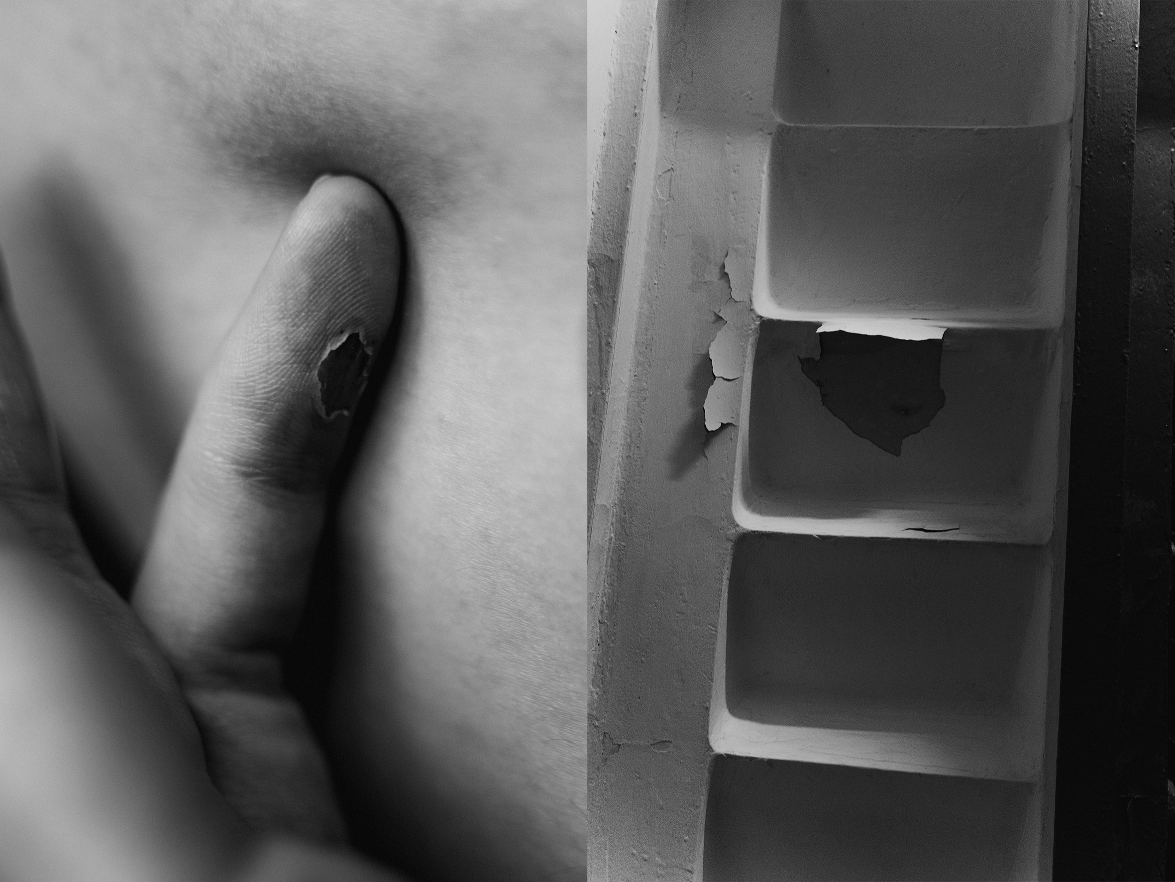 (в процессе) гаврики обрели дом | the woofs have found a home. Анастасия Калинина