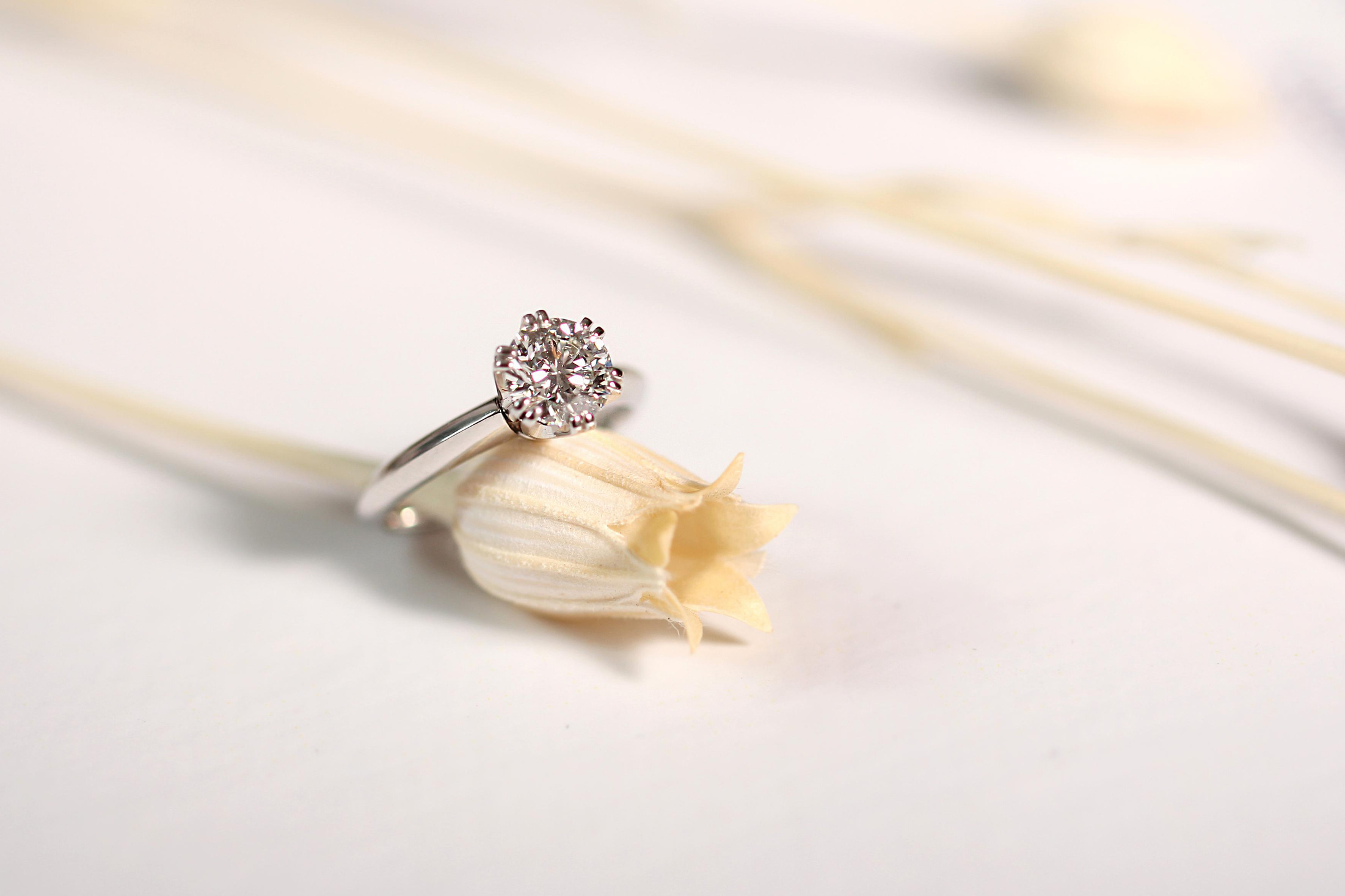 ЦЕНЫ. Фотограф мероприятий Ирина Каширина