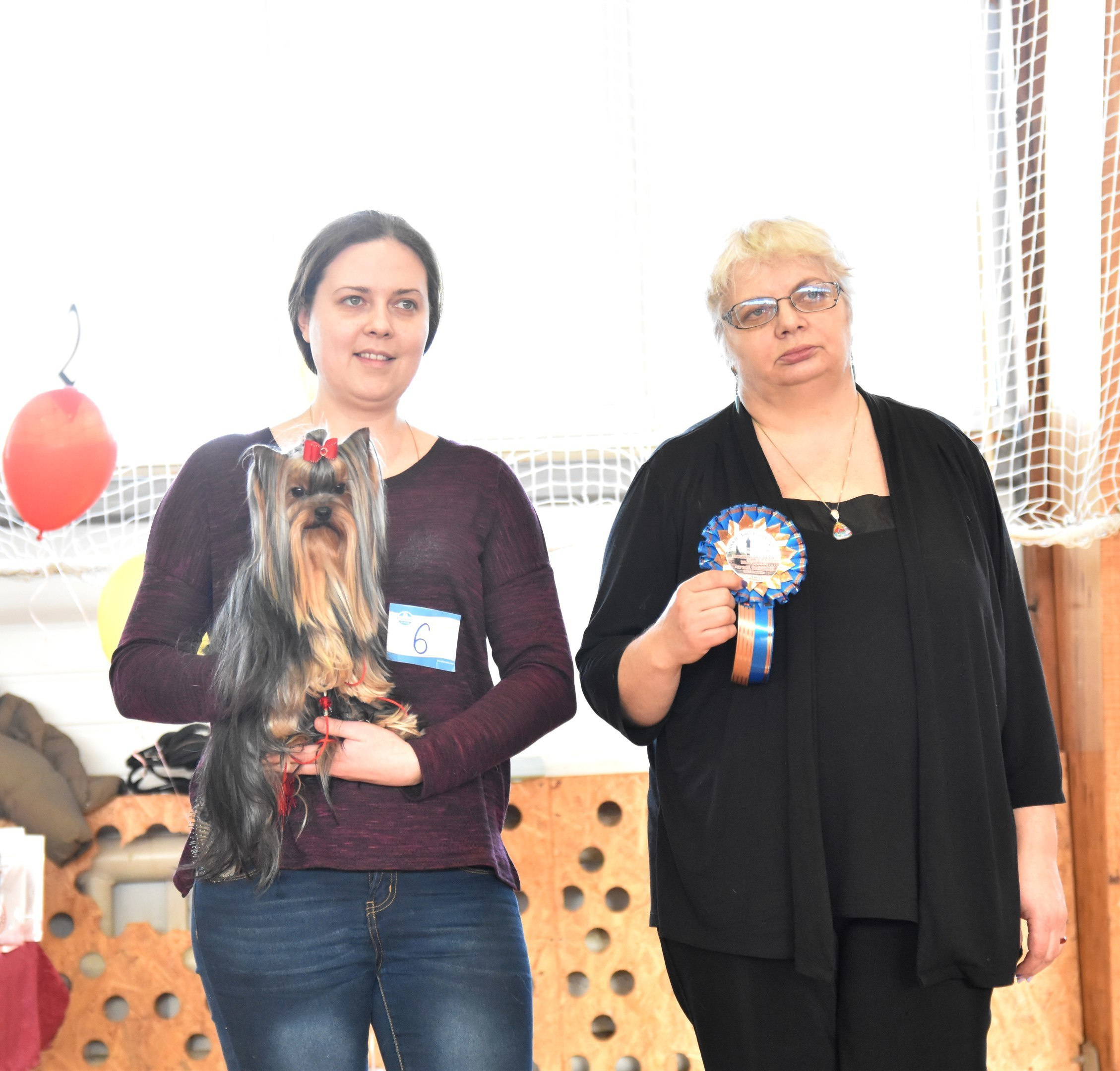 2016 г Результаты выставок. Питомник Йоркширских терьеров Дэнстайл в Санкт-Петербурге заводчик Тих