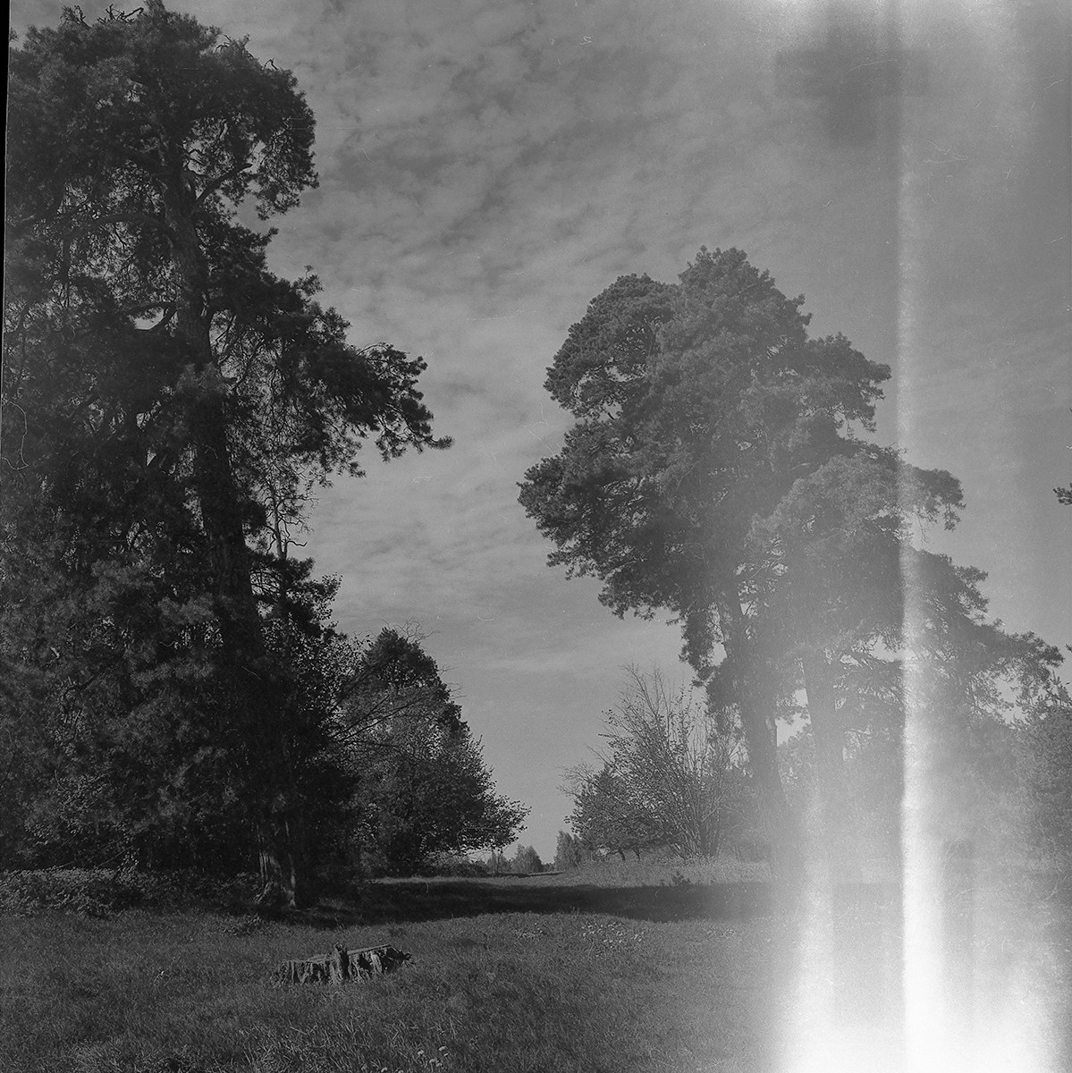 Elenka Donbrova photogtapher