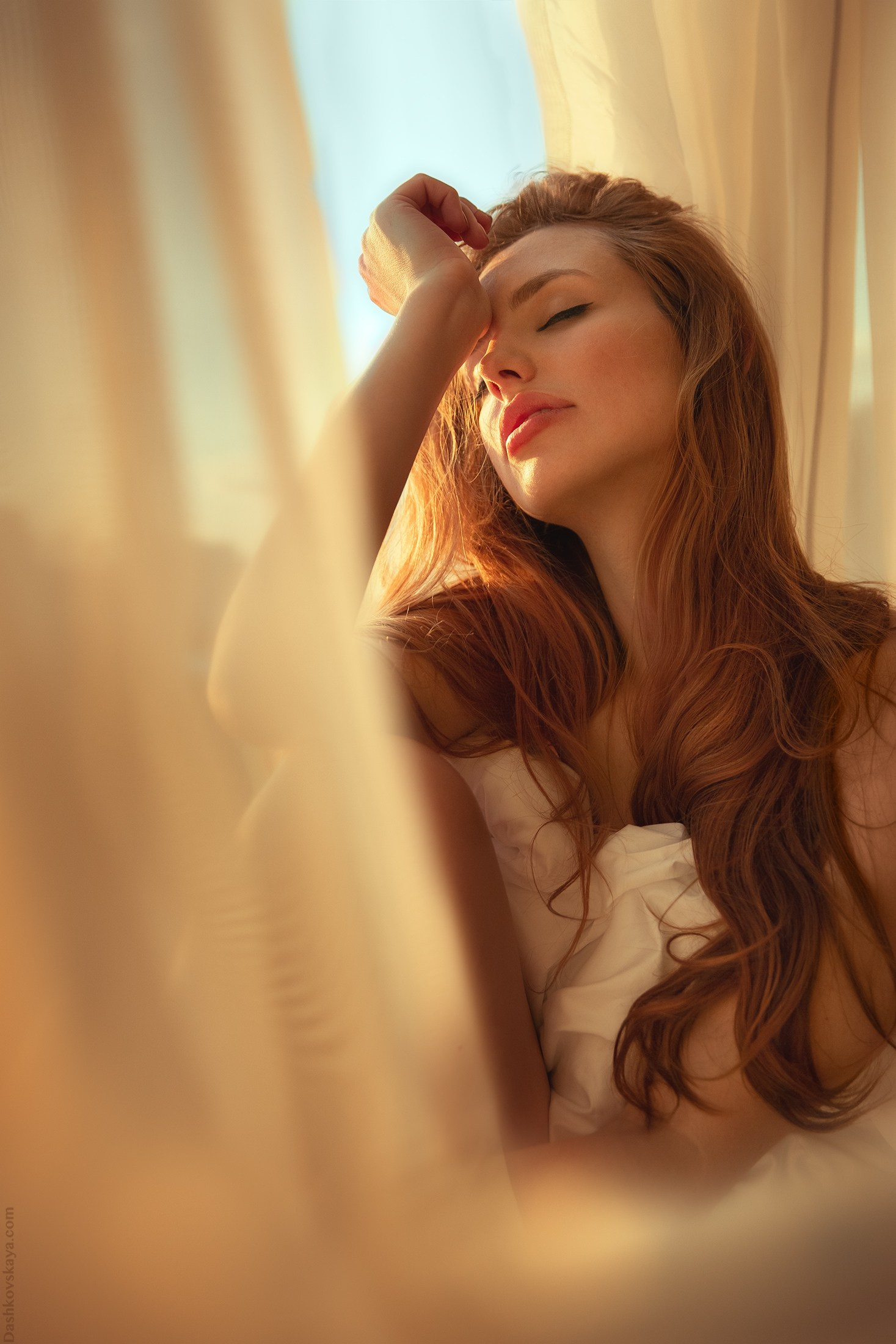 Услуги. Женский и семейный фотограф| Техас | Дашковская Екатерина