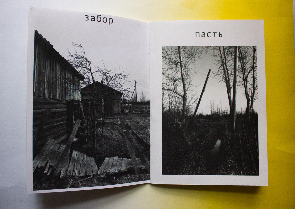 Ассоциация. Екатерина Подлеснов