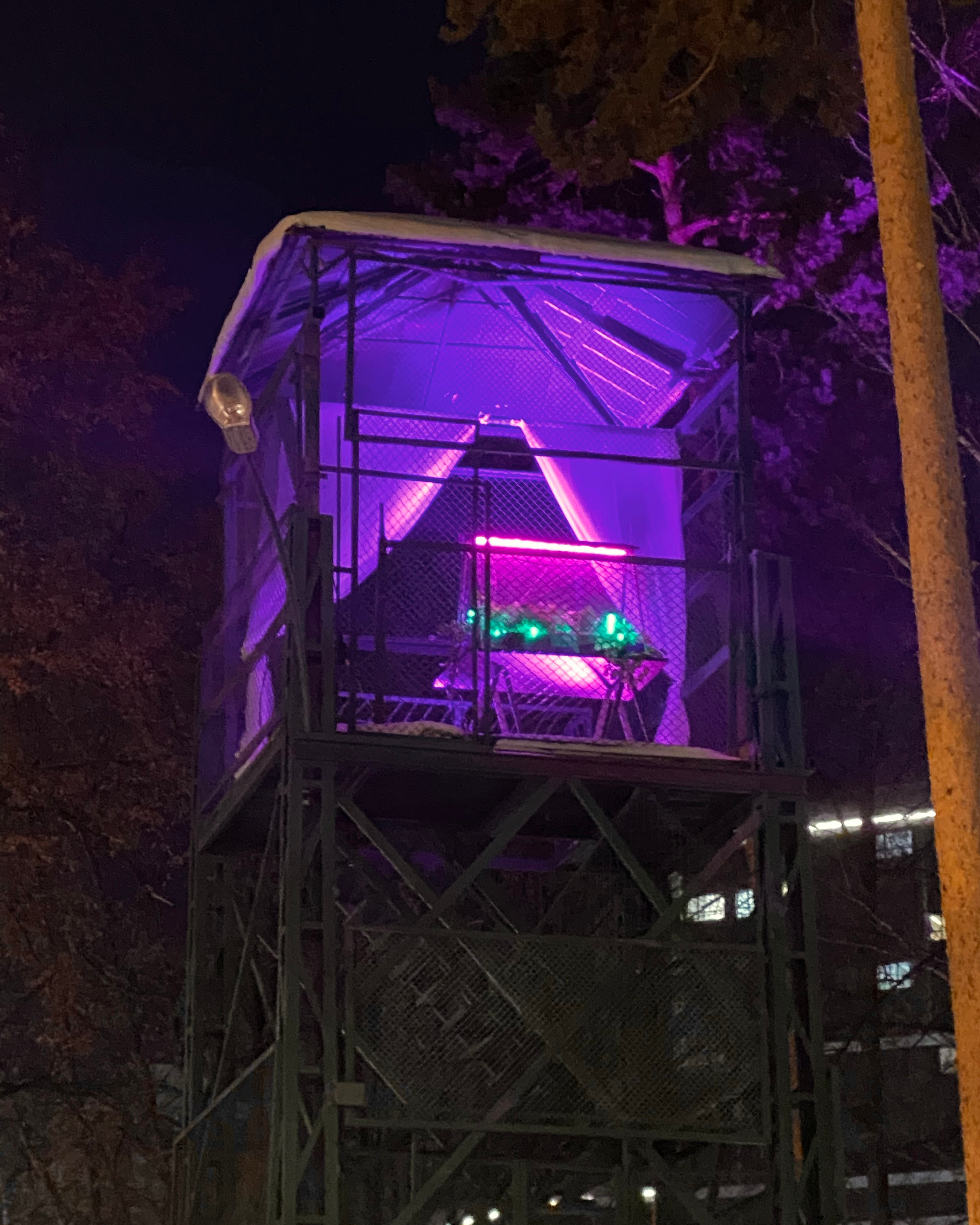 Windows. Artist Anna Snegina Художница Анна Снегина