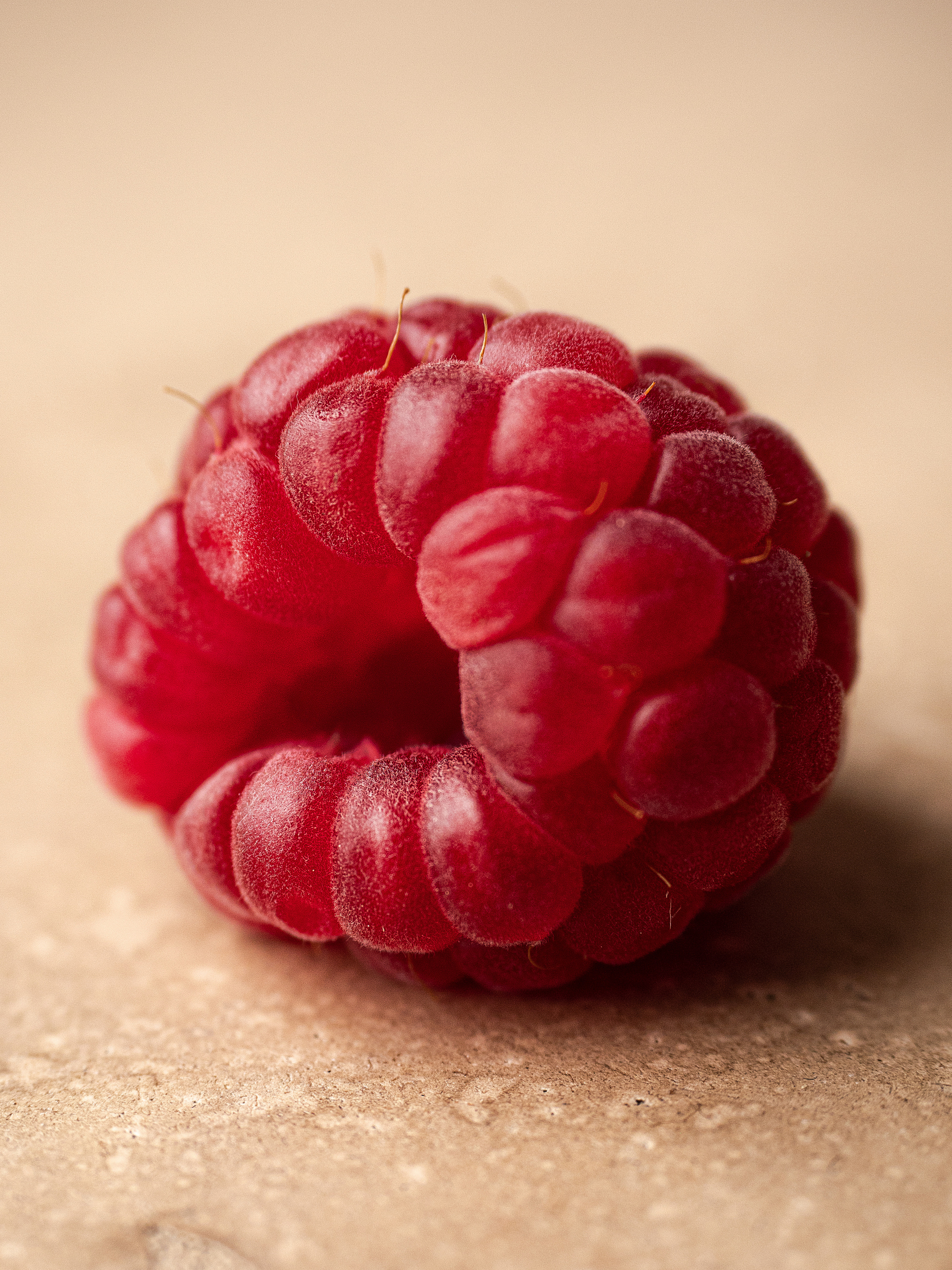 Контакты. Фотограф Калинич Юлия