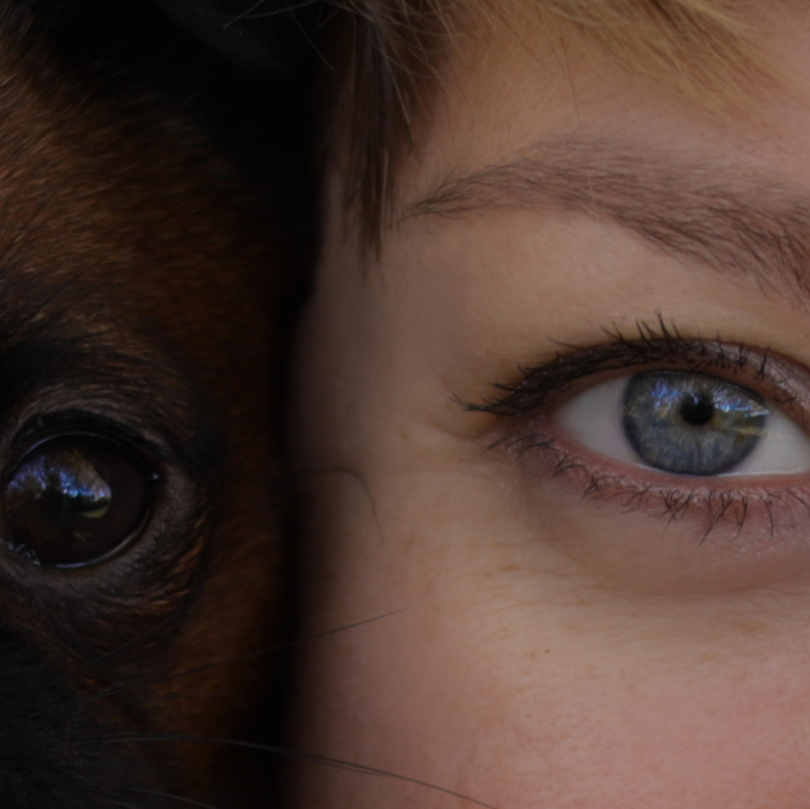 Что я снимаю?. Irina Shulmeister