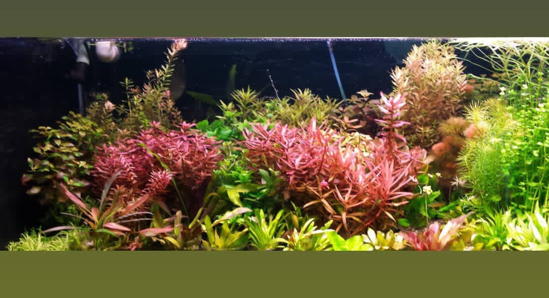 Опыт работы. Home