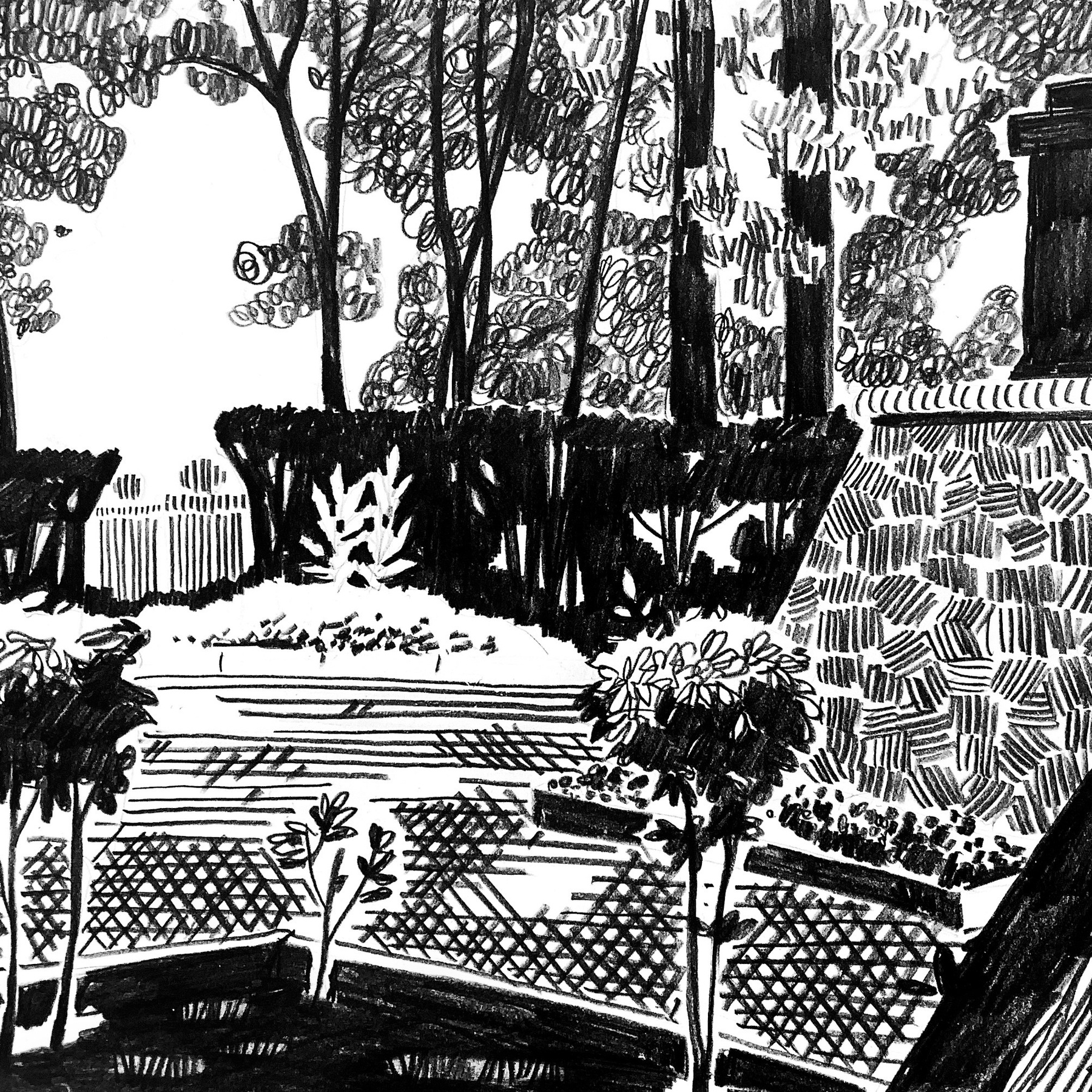 Графика и Живопись. Художник Рыбак Николай