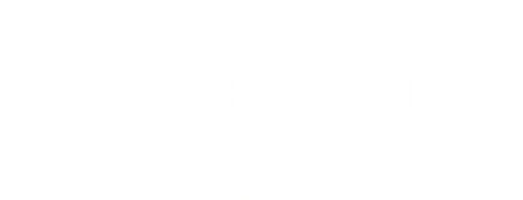 alenabairph.wfolio.pro