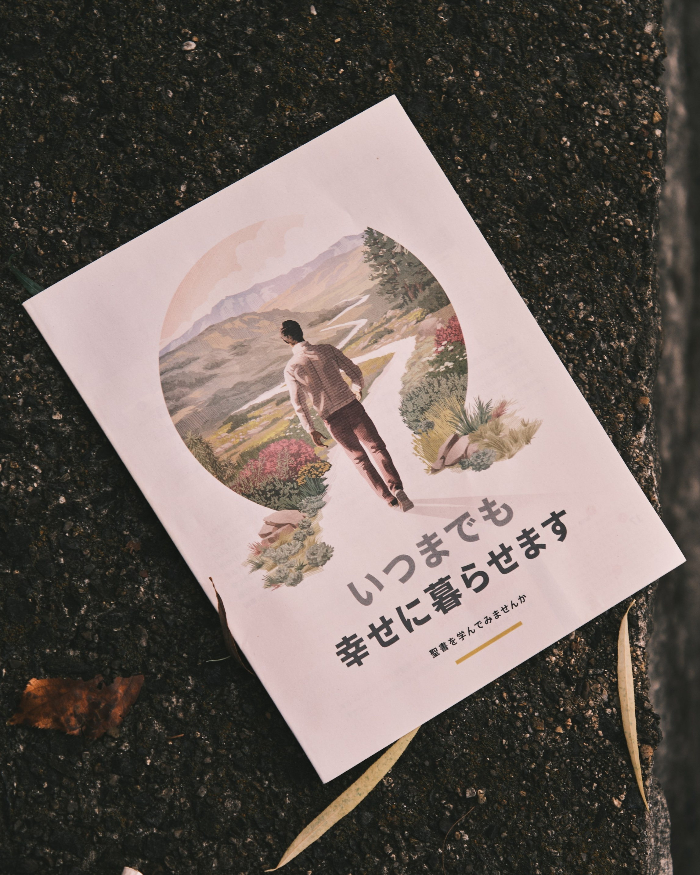 Мои итоги 2025 года