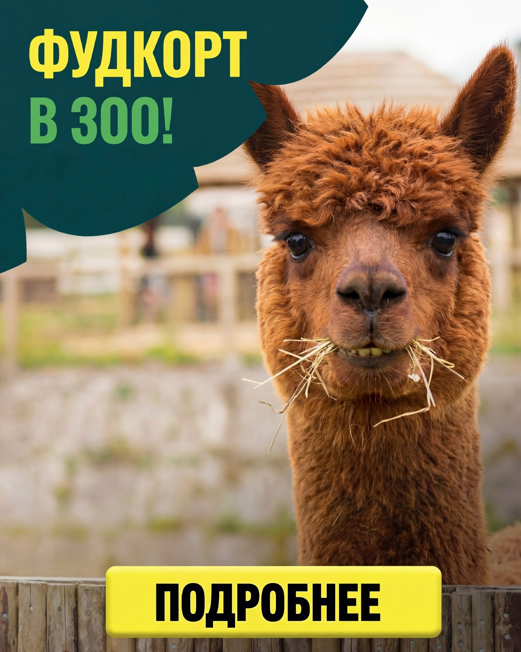 Кафе и фуд-корт на территории зоопарка Лесная Братва