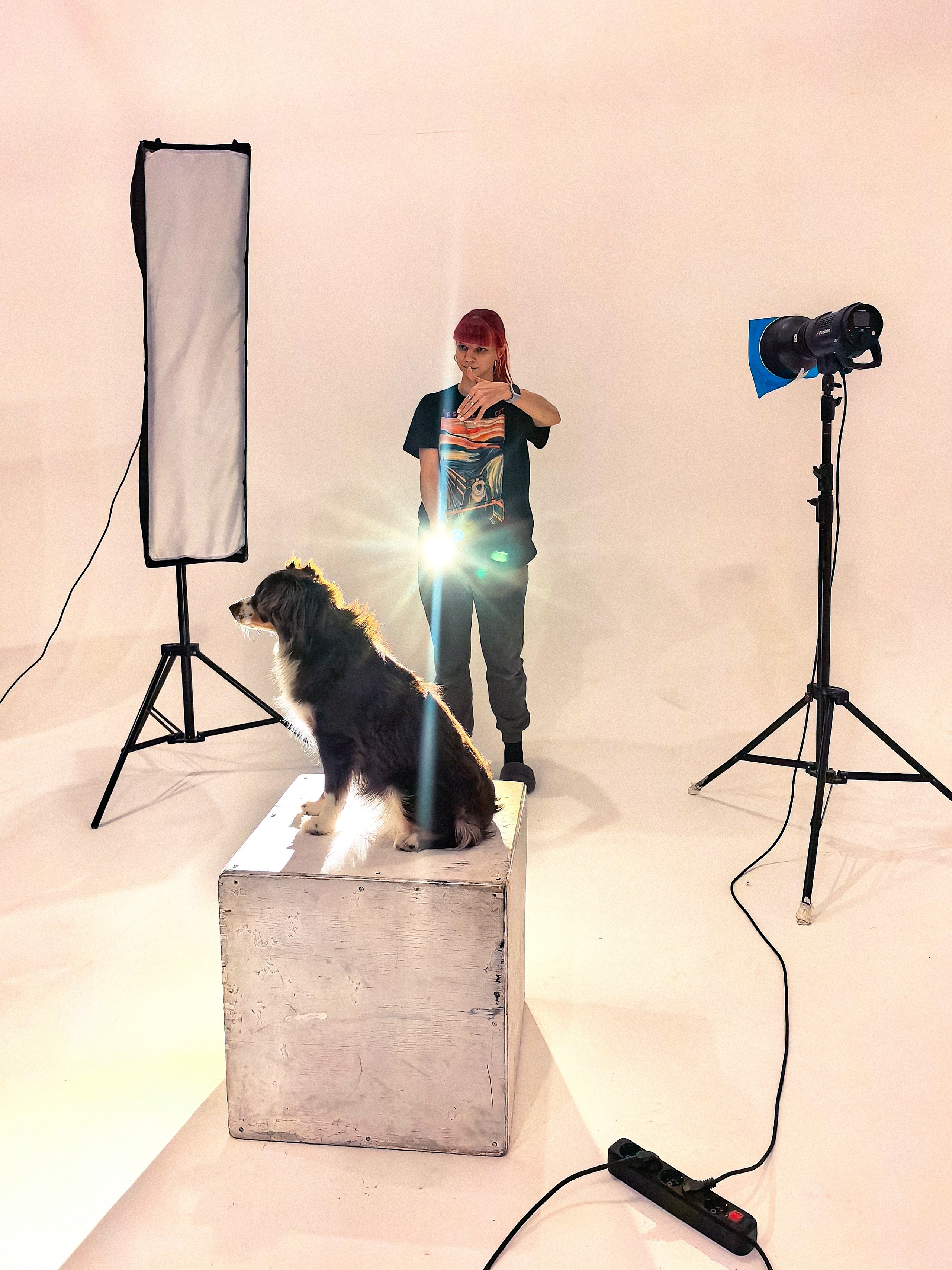 Воркшоп по импульсному свету