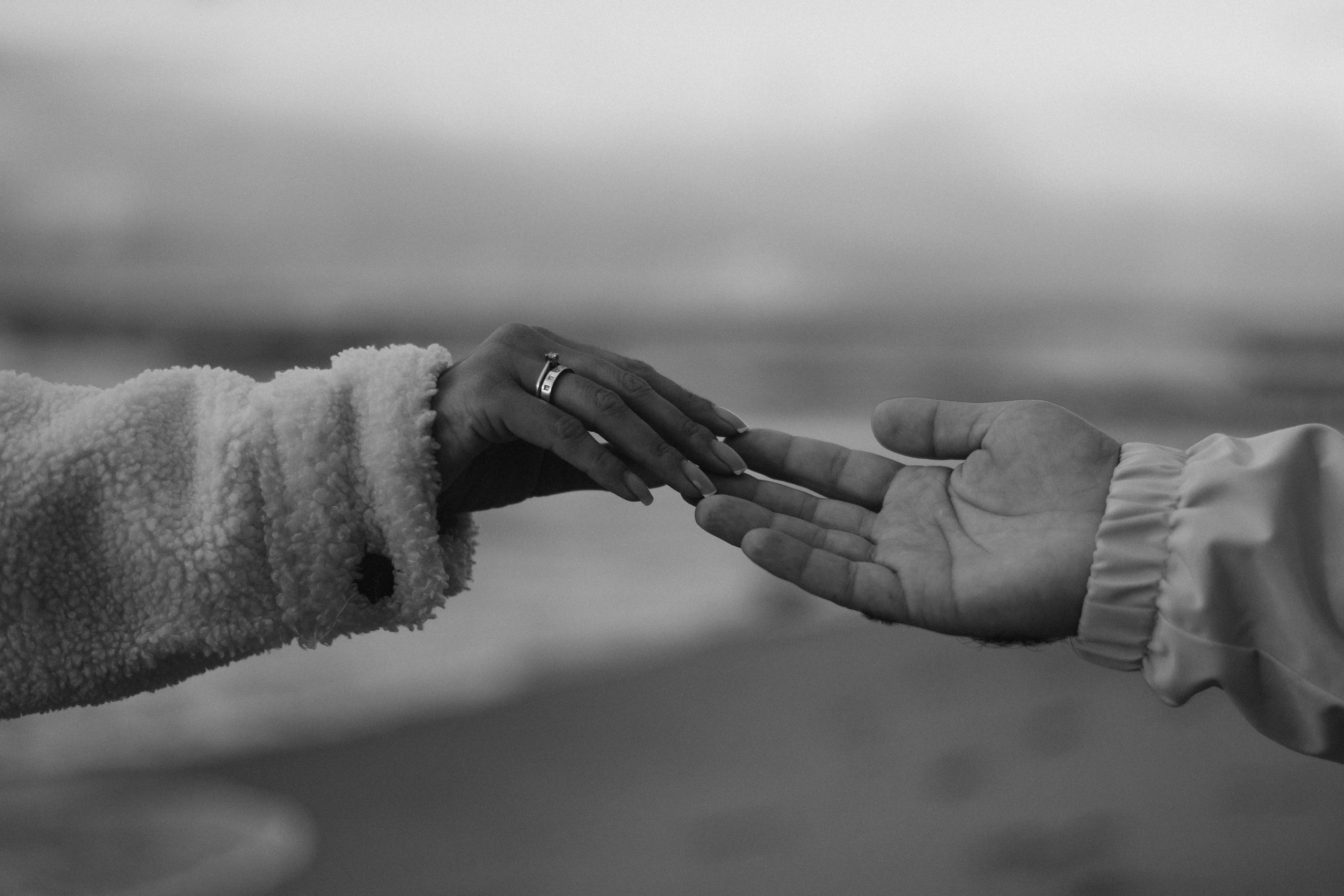 Путешествие в Калининград. Часть 2