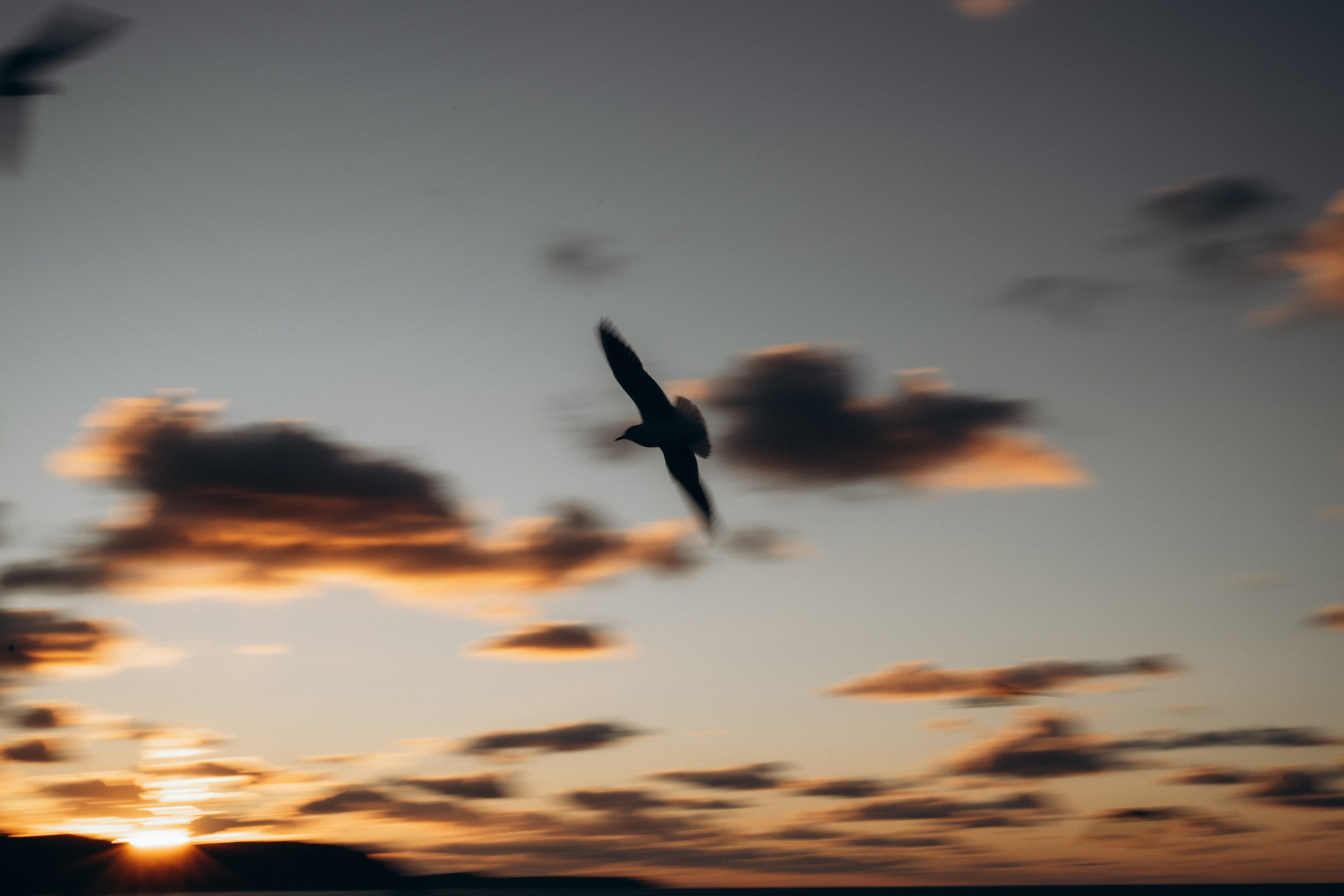 Путешествие в Калининград. Часть 2