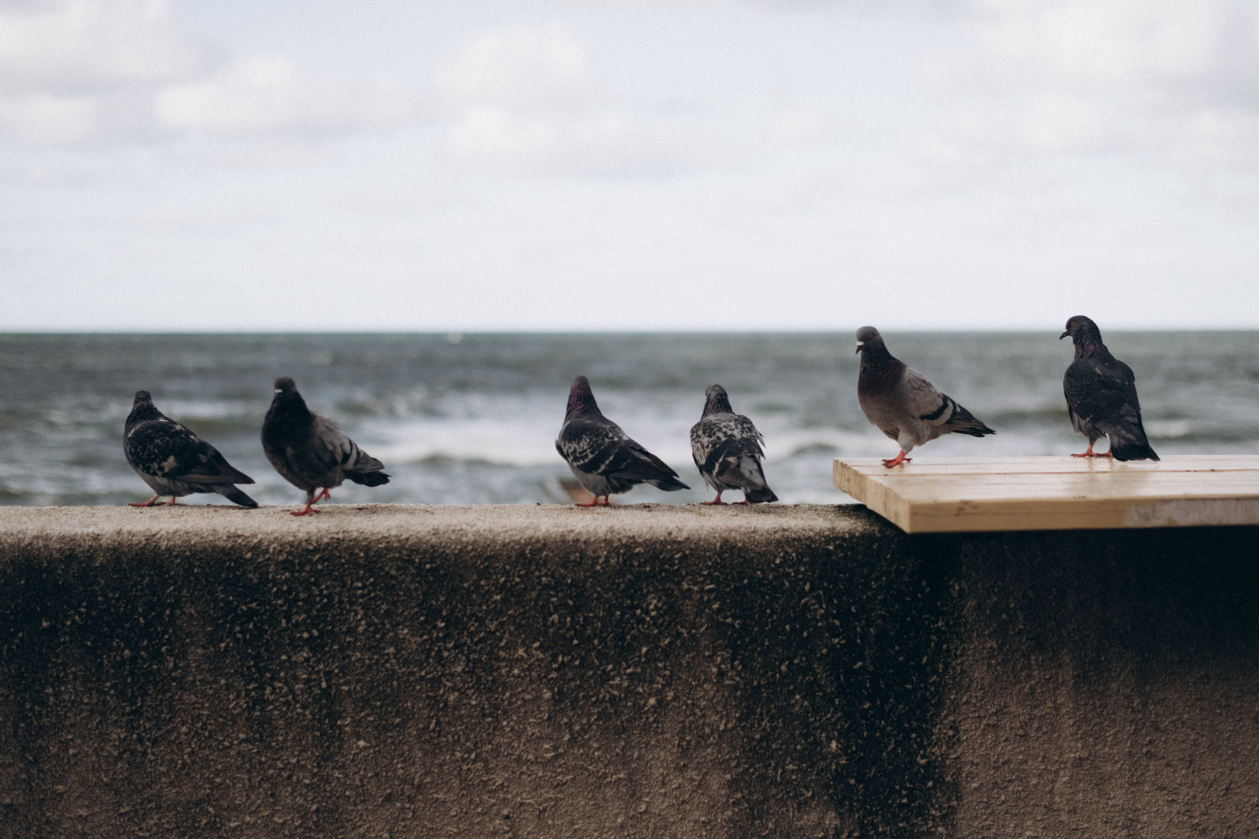 Путешествие в Калининград. Часть 2