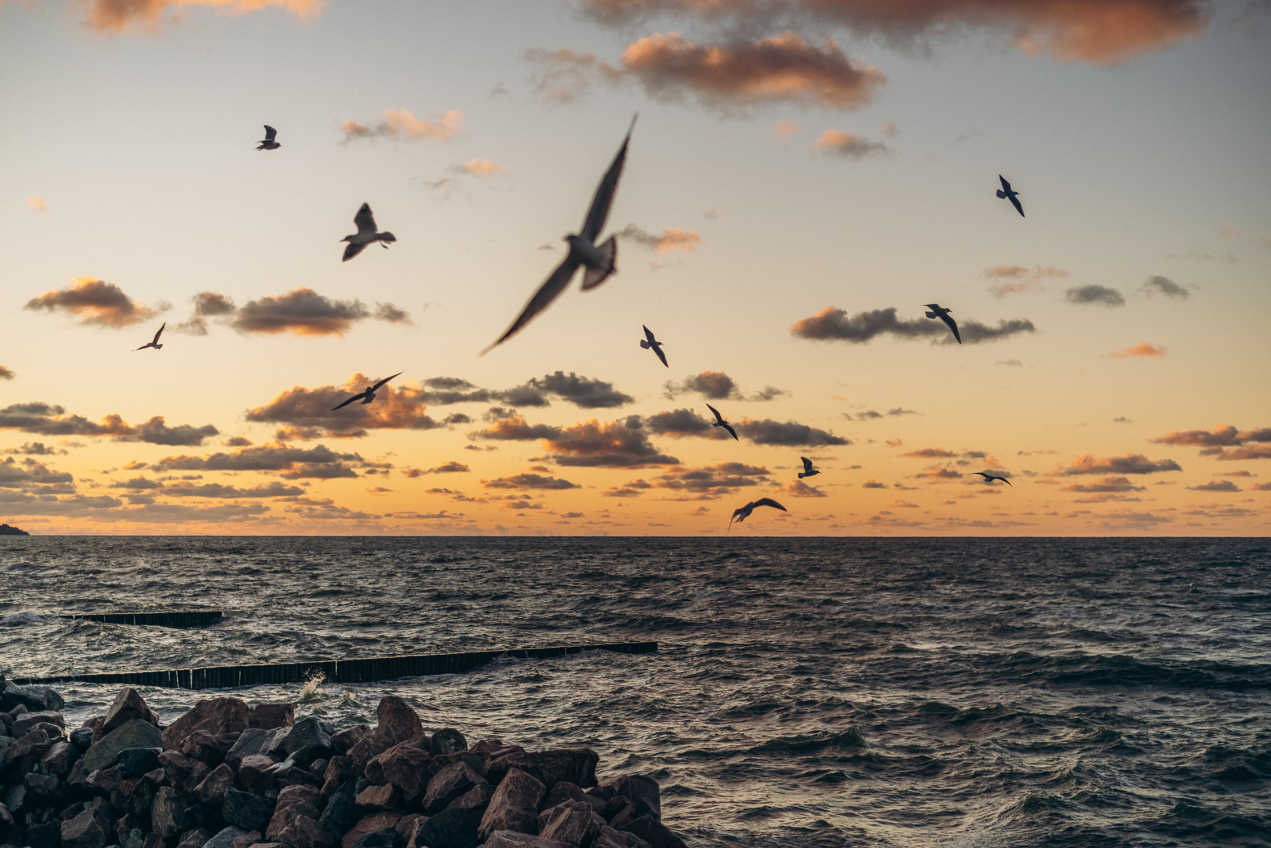 Путешествие в Калининград. Часть 2