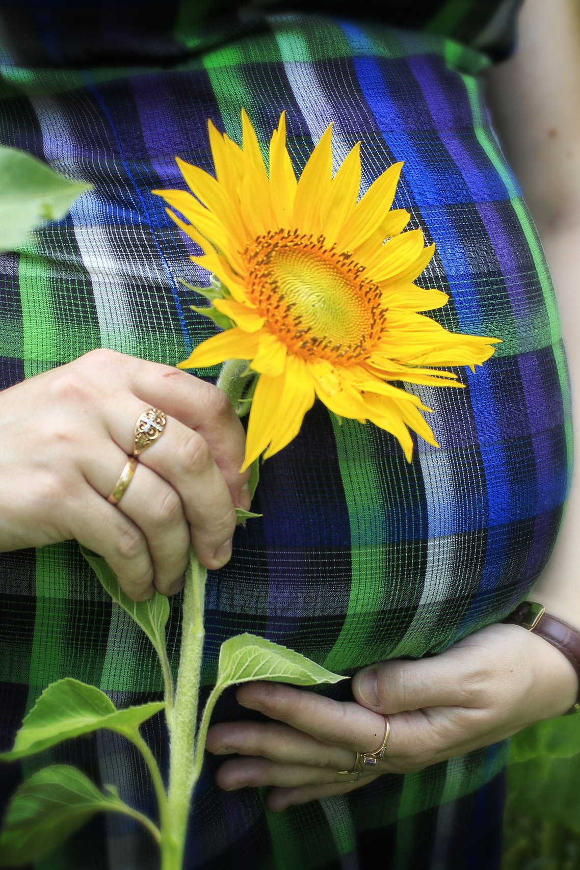 ПАКЕТЫ УСЛУГ «В ОЖИДАНИИ ЧУДА». Фотограф новорожденных, свадебный, семейный, детский фотограф в СПБ