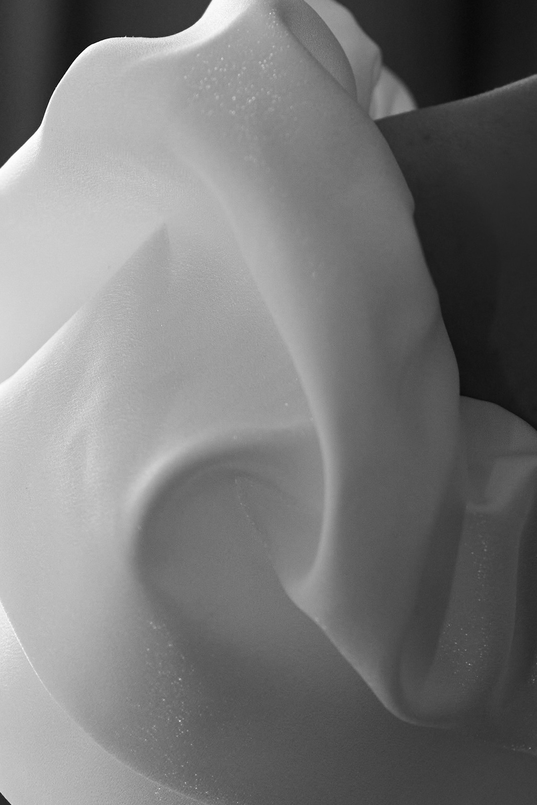 LERA I SERGEI. Свадебный и портретный фотограф