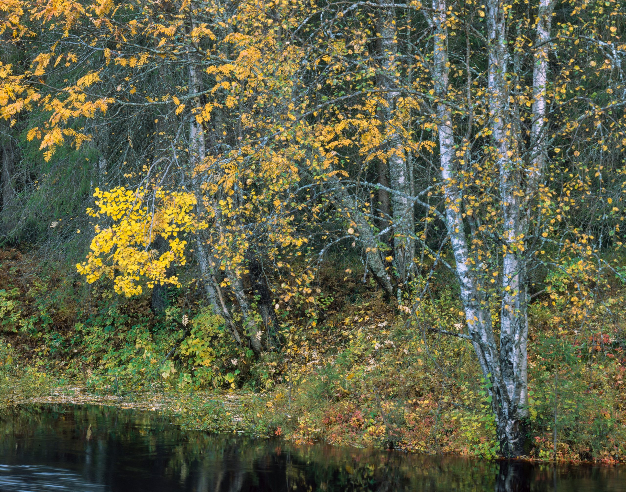 A remarkable day. Northern Nights