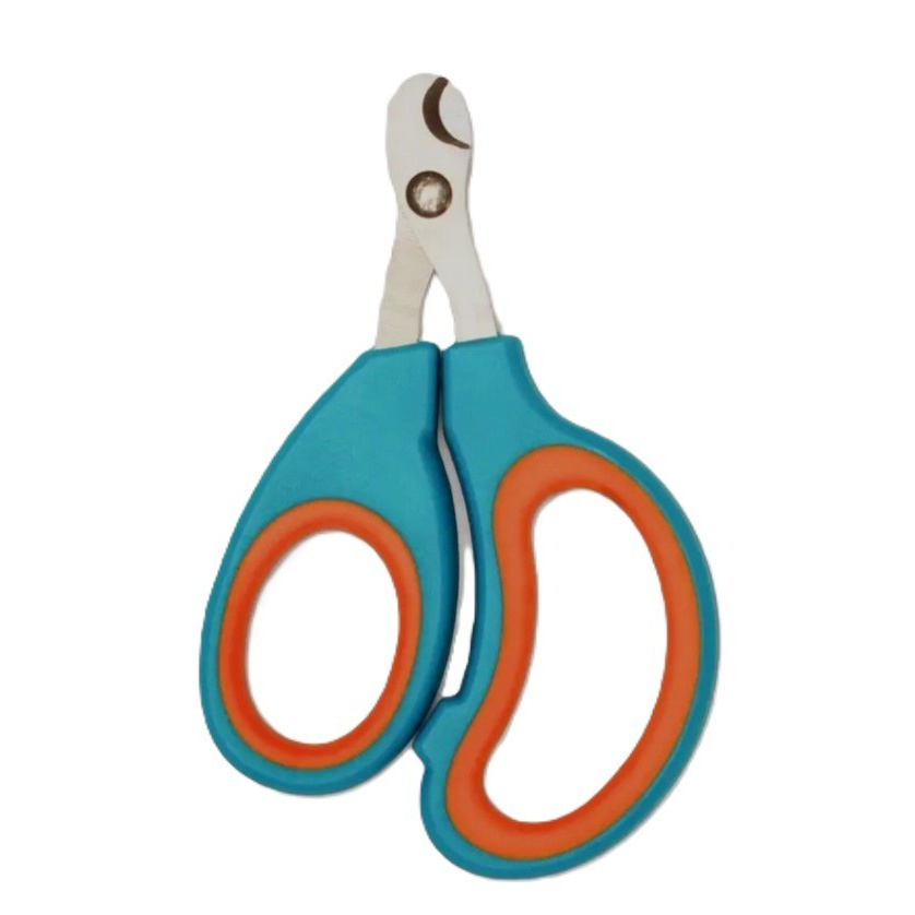 Котёнок американской бурмы. Las Burmas — питомник американской бурмы традиционных линий