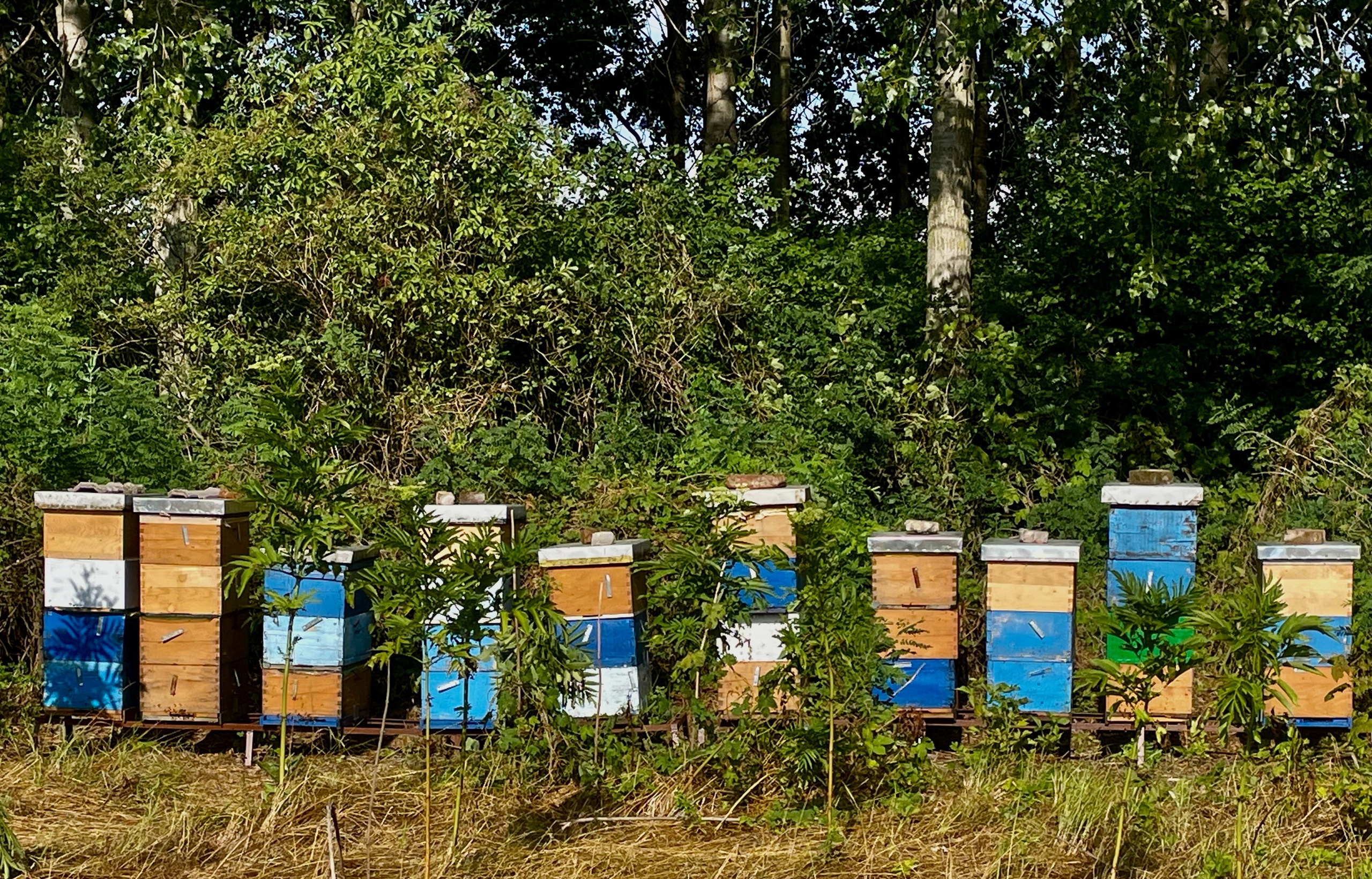 Наталия Бабинцева — ВЫДЕЛЕННАЯ ТЕРРИТОРИЯ: прогулки с N