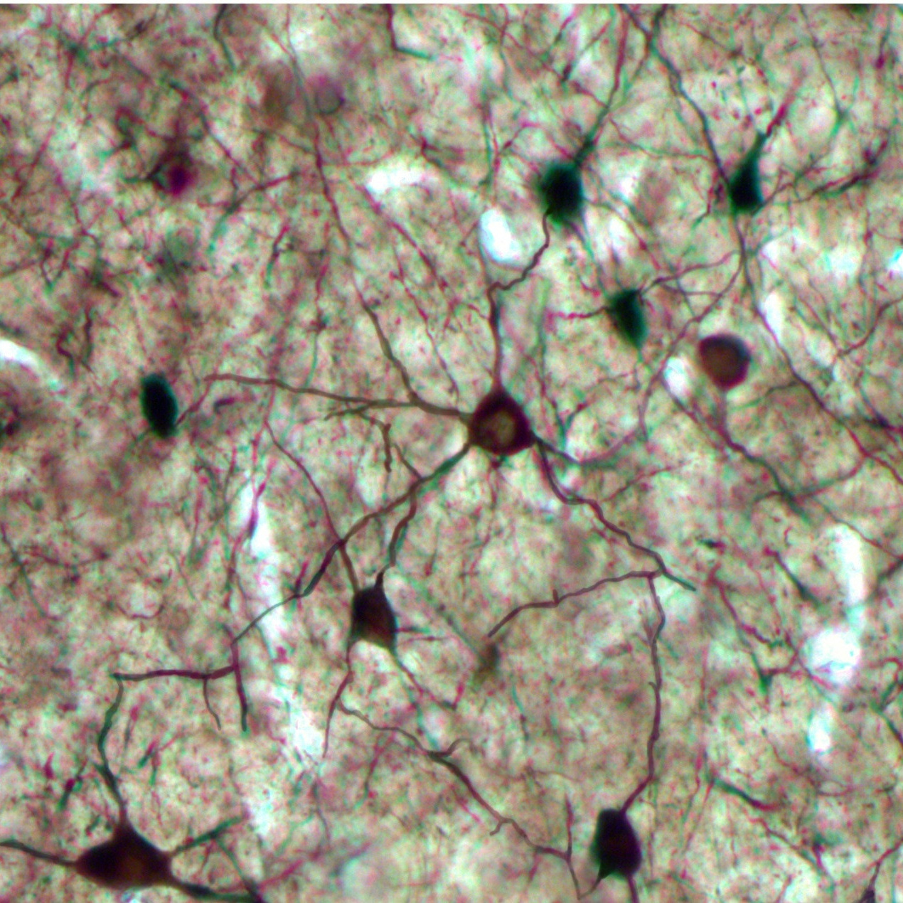 ПРОЕКТЫ КАФЕДРЫ. Главная