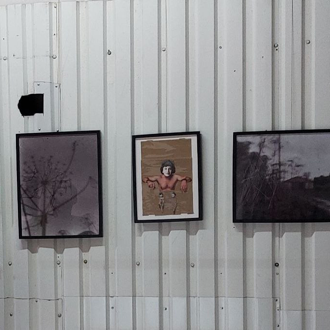 Выставка современного искусства «Comus motion». Julia Gorbunova