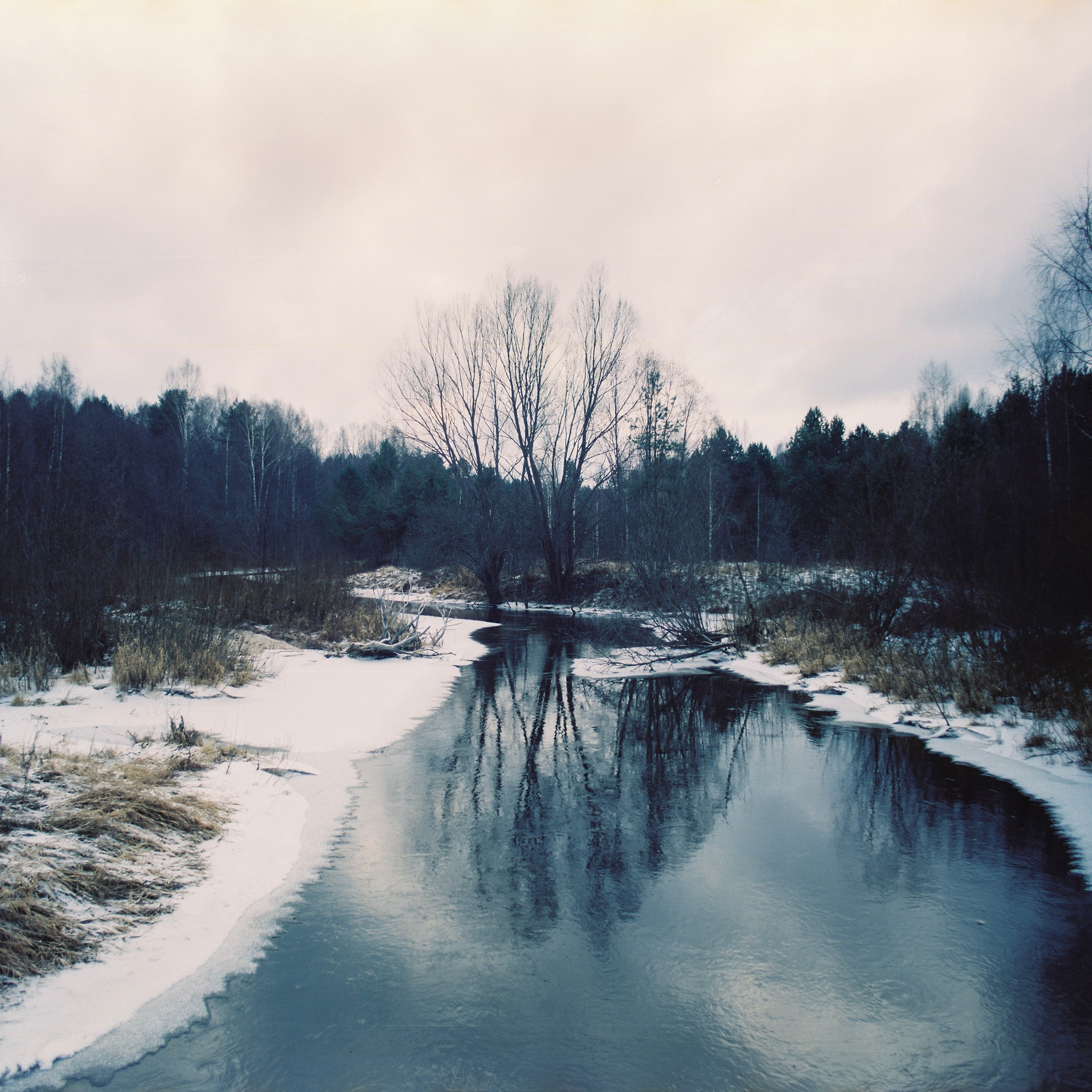 Aksenovo. Photographer Dima Sharov | Фотограф Дима Шаров
