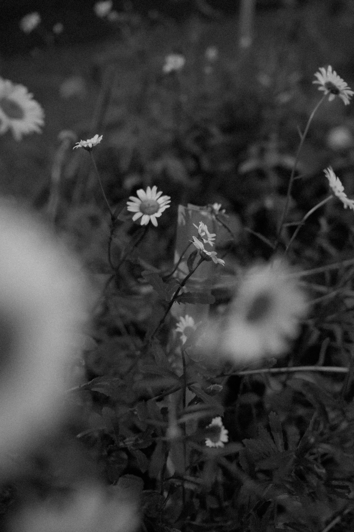 КОЛЛЕКЦИИ. F11 production