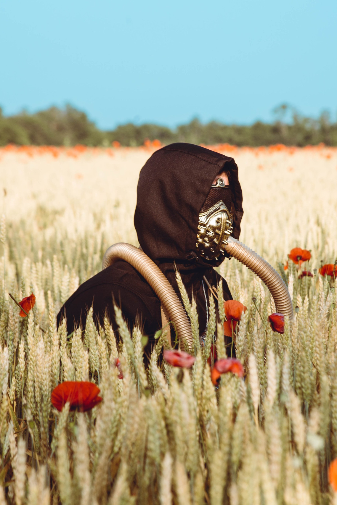 Foto-creator Alisa Zobova