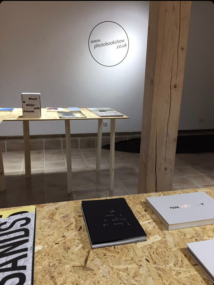 Дневник движения к цели. Ирина Ленькова художница