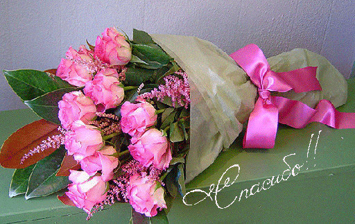 Фотограф Александр Цветков