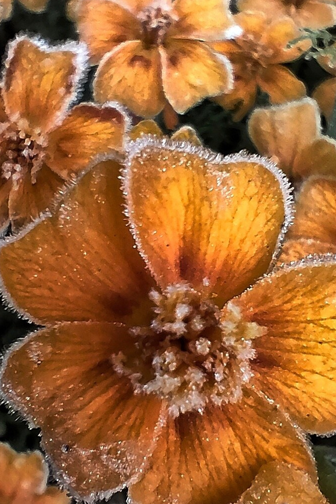 Фотокурсы и обучение в фотошколе «Вдохновение» в Абакане. Фотошкола и фотокурсы в Абакане